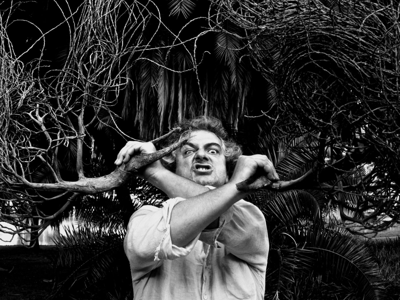 Préavis de désordre urbain, t'inquiète c'est de la culture !