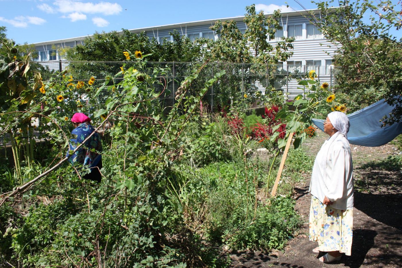 Le jardin de la Bricarde prospère à l’ombre des barres