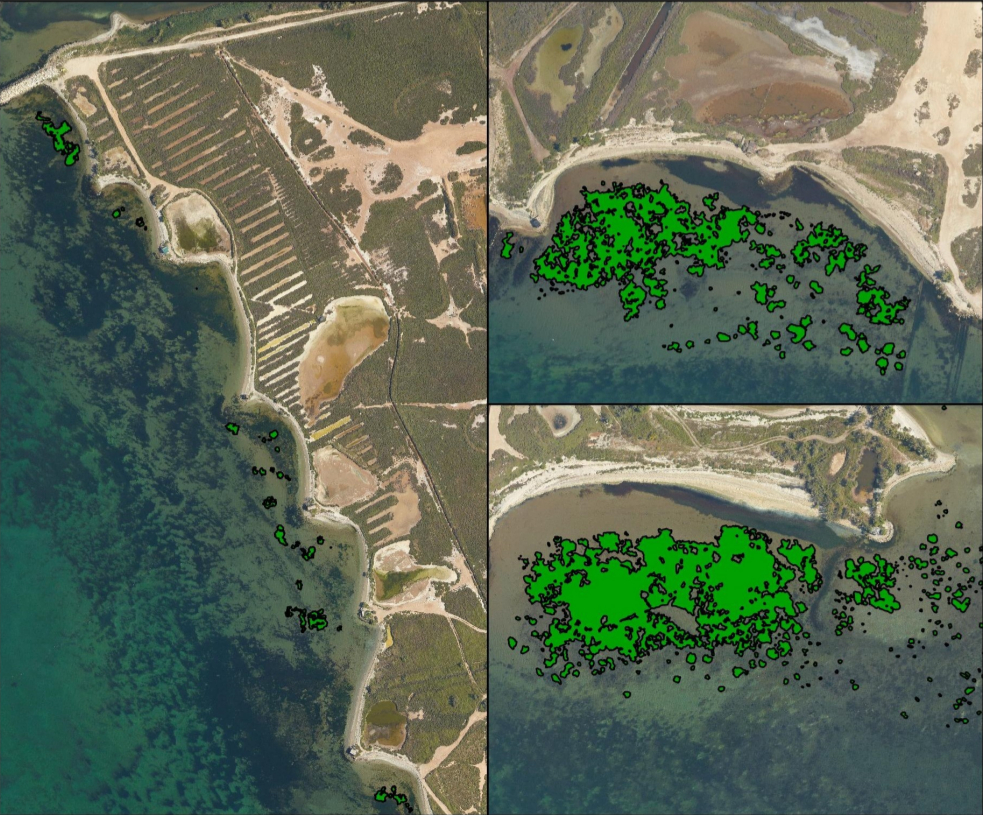 Extrait du bilan écologique 2015 du GIPREB. Cette cartographie montre trois herbiers témoins : l'embouchure de l'Arc à gauche et les anses de la pointe de Berre à droite.