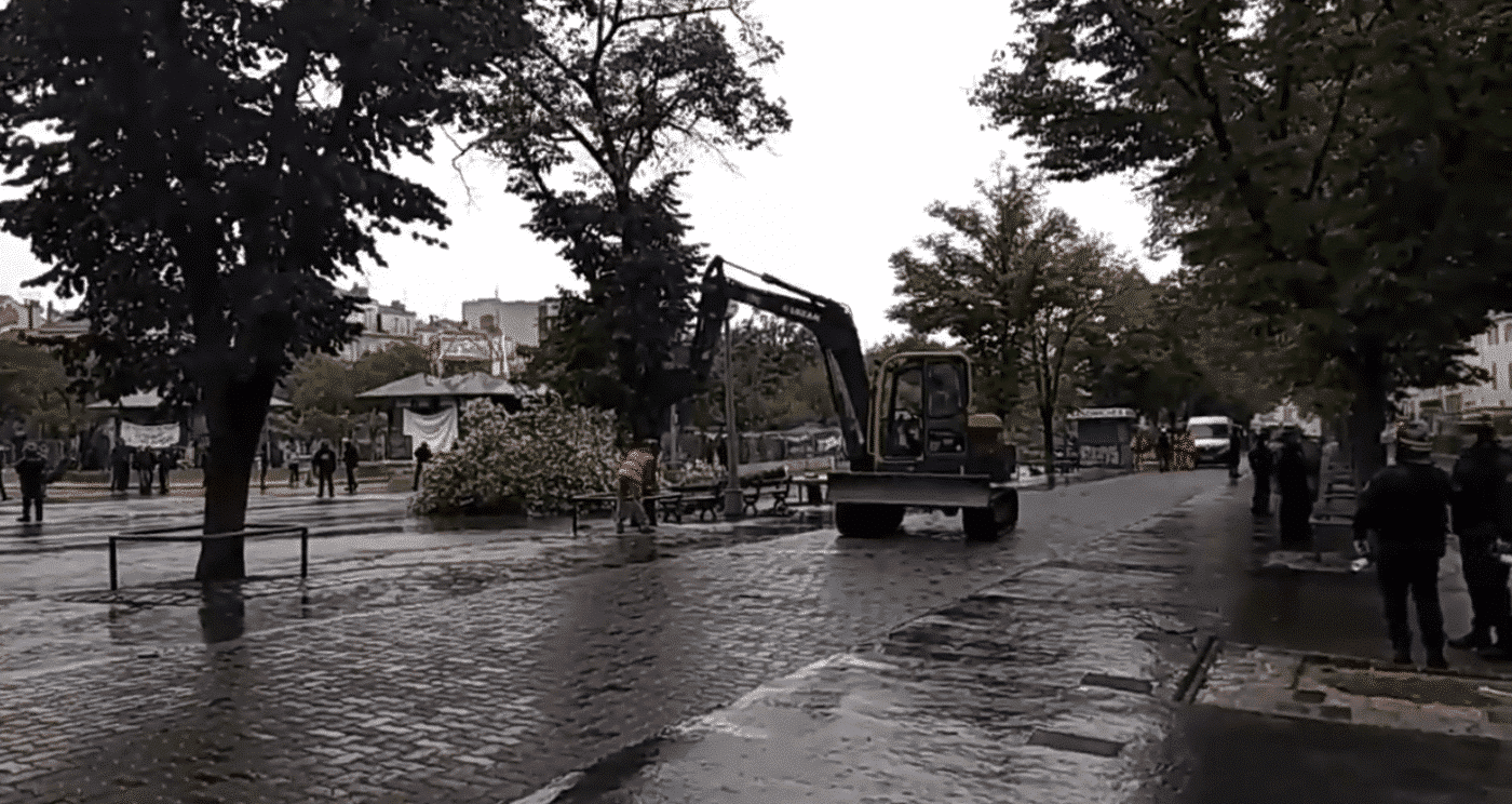 [Vidéo] L’abattage des arbres est en cours à la Plaine
