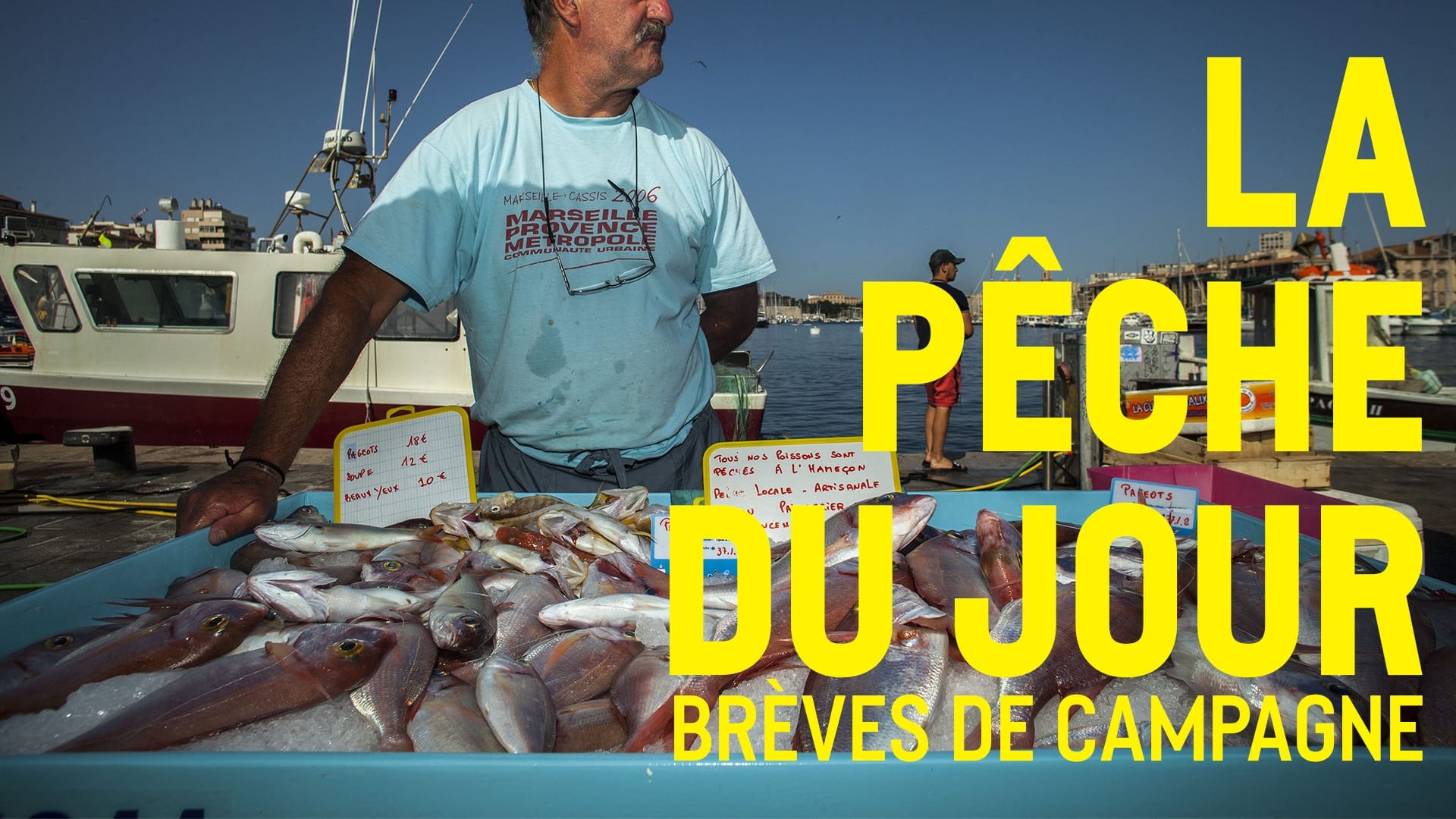Marsactu - Municipales Marseille 2020