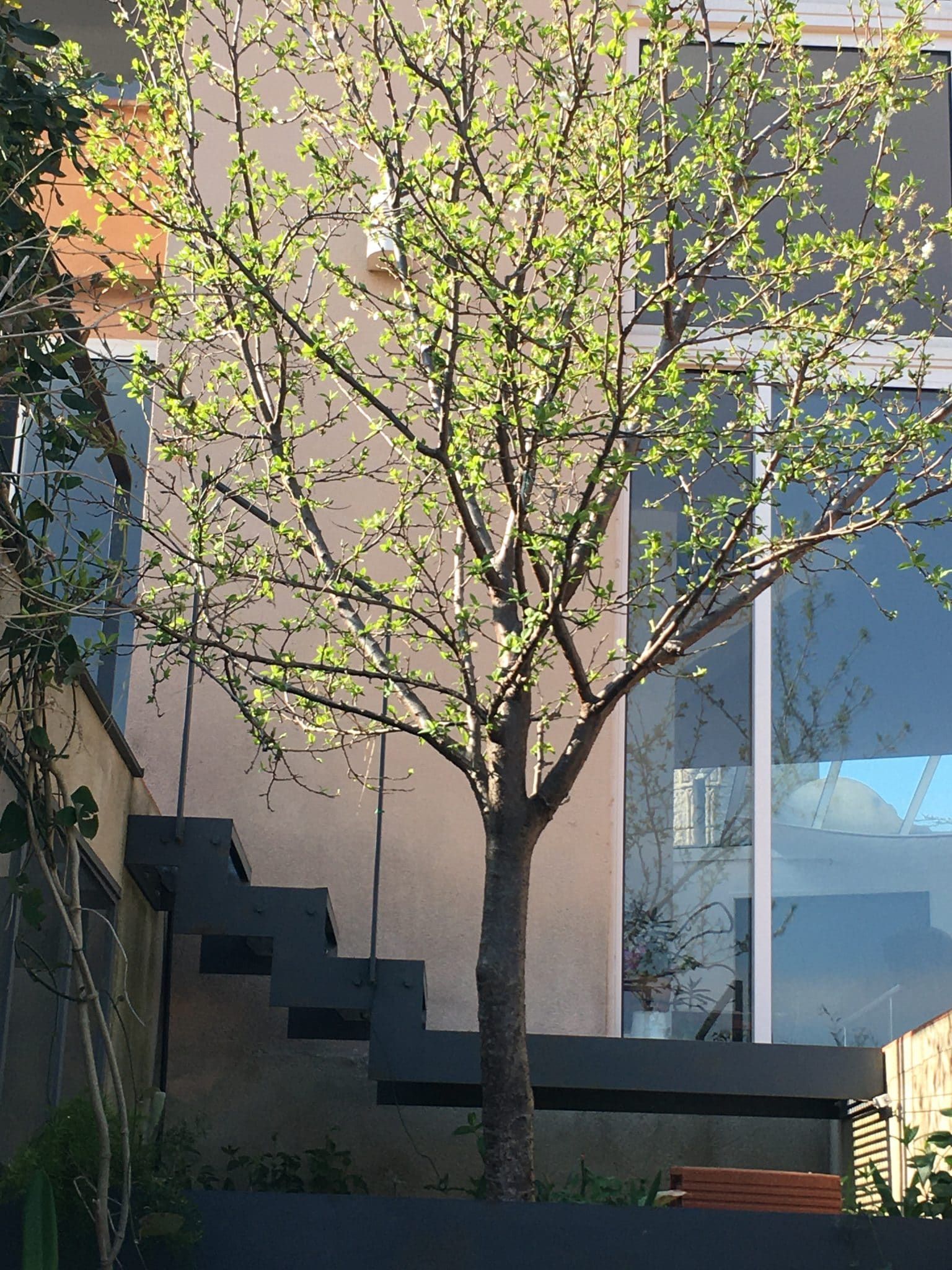 Sylvabelle 4  Où en est-on après 12 jours de confinement ?