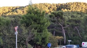 Parc national des Calanques