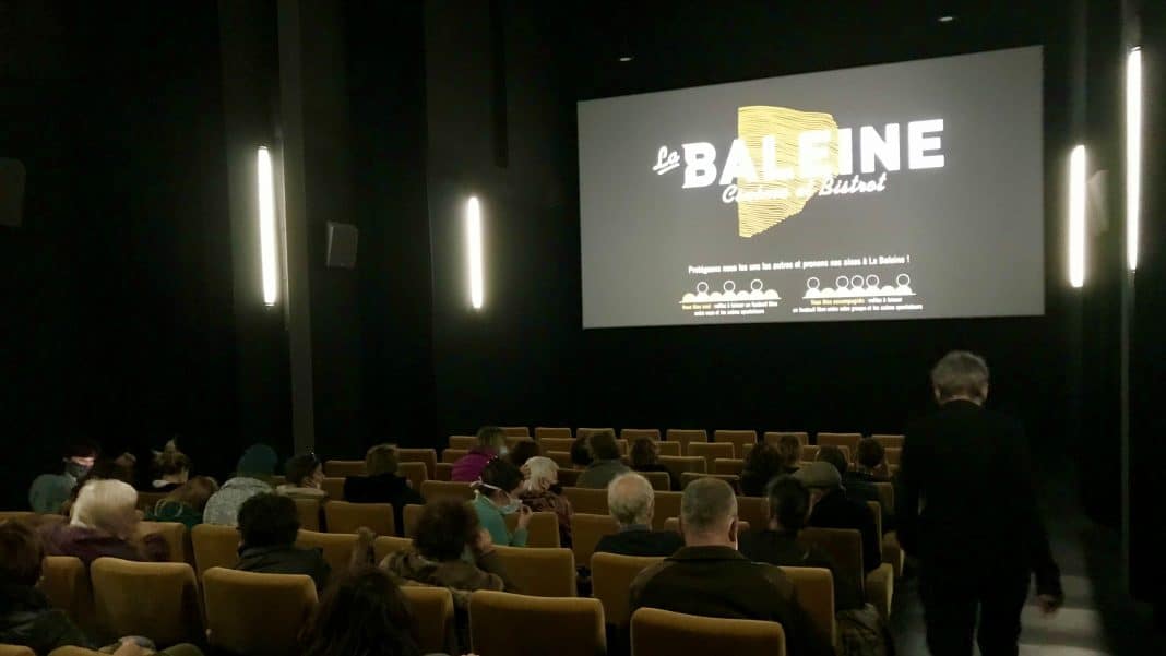 baleine16-9