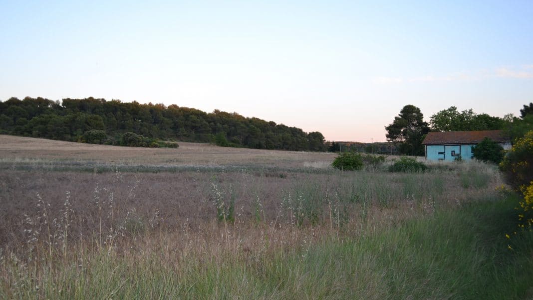Champ cabanon Venelles