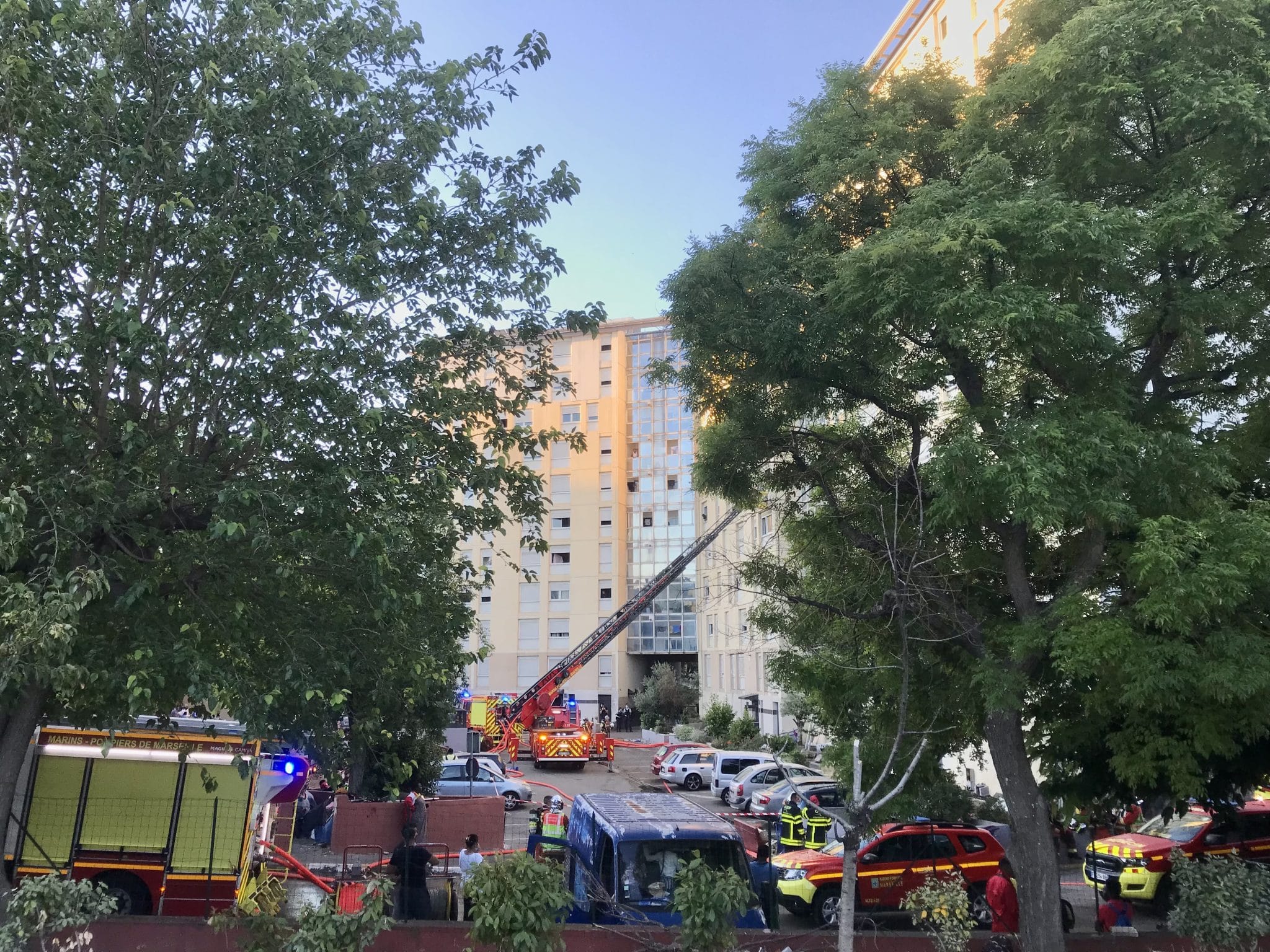 Photo Coralie Bonnefoy