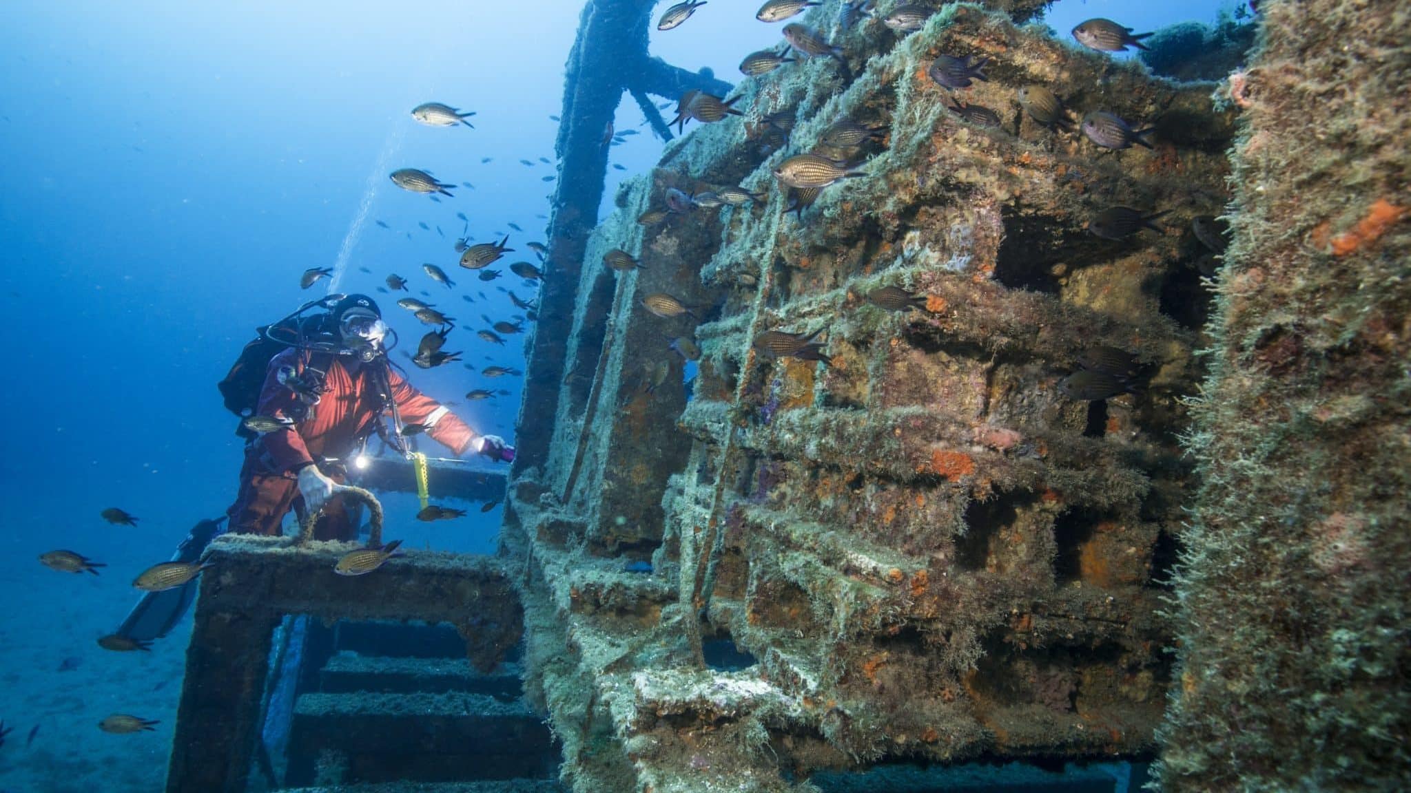 Au large du Prado, les récifs artificiels ont fait leur temps Marsactu