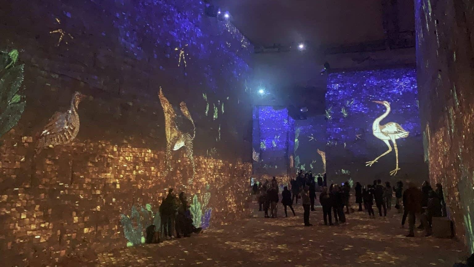 Les carrières de lumières aux Baux-de-Provence. Photo : Louise Gerbaud)