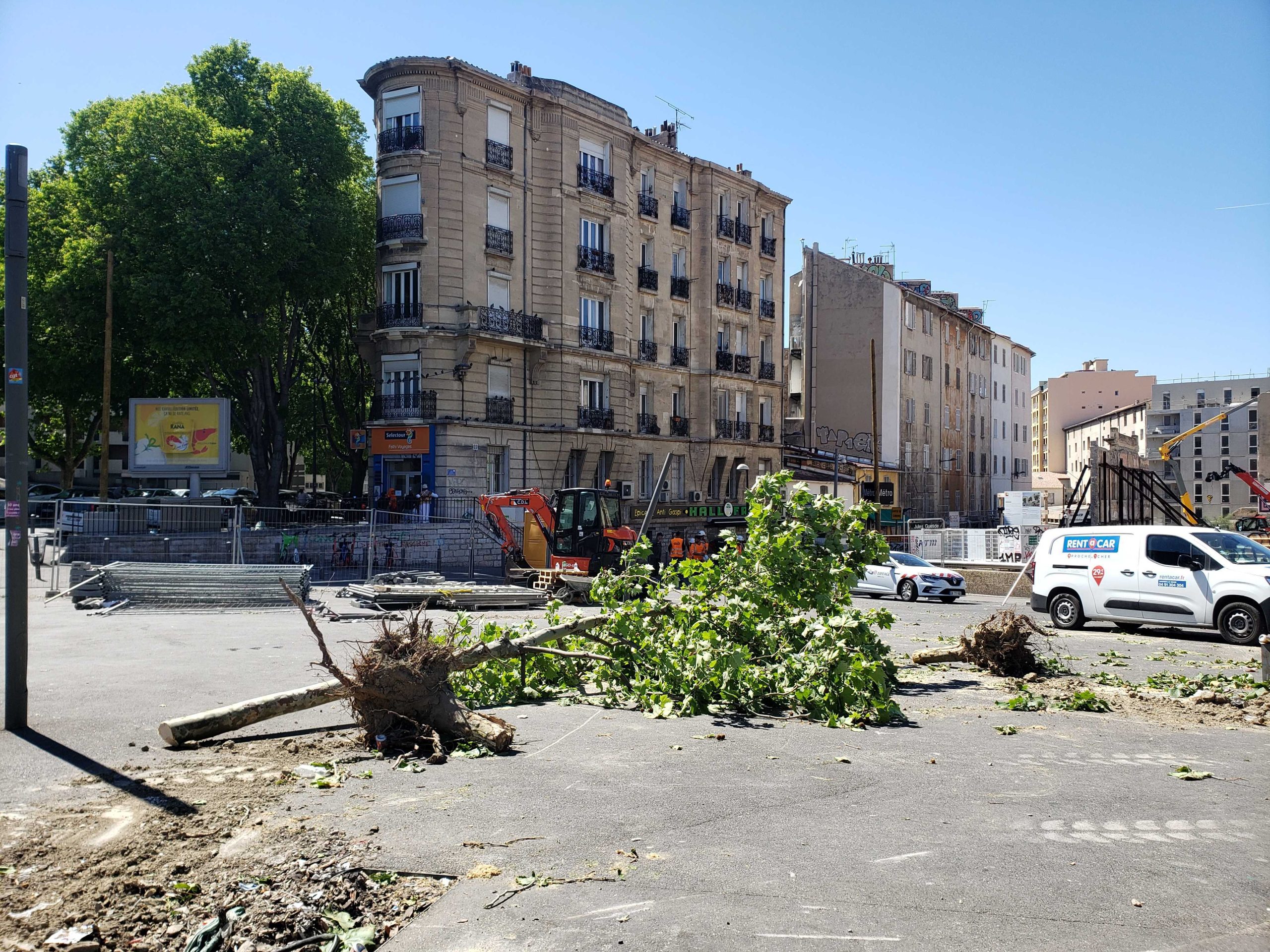 Trois arbres ont été abattus (photo: E.d