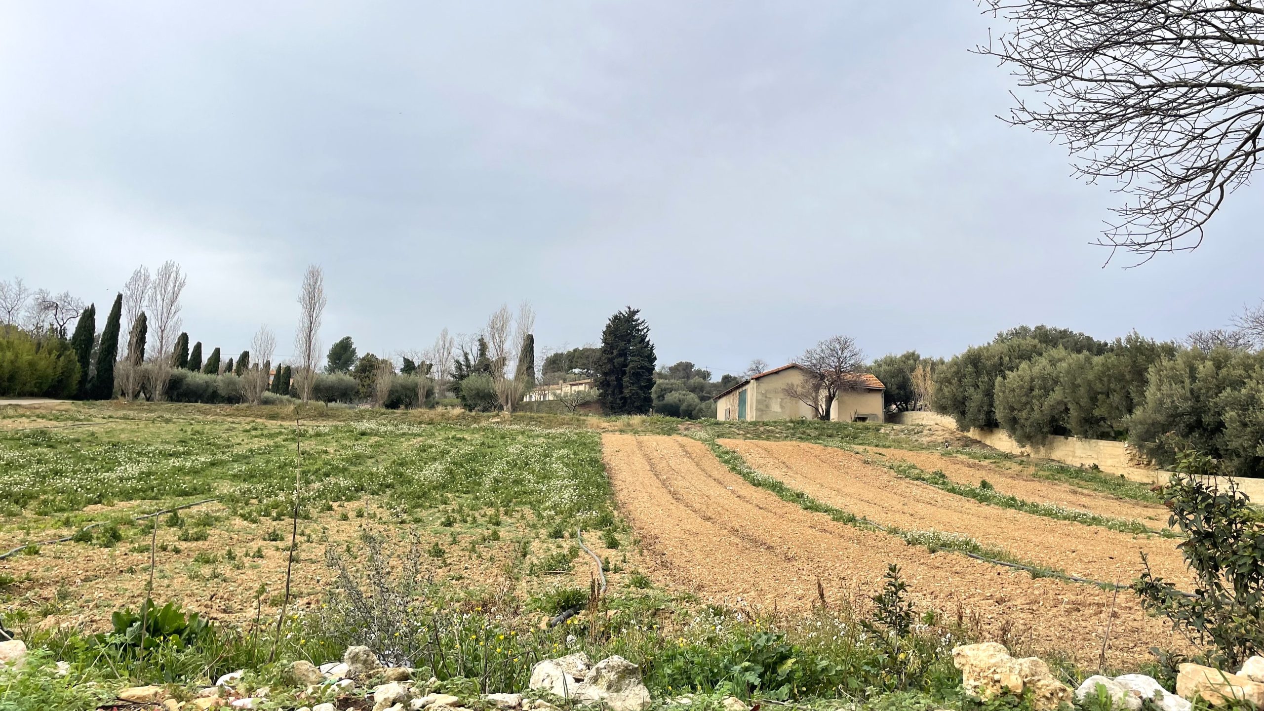 Victime d’une baisse de subventions, la Cité de l’agriculture baisse le rideau