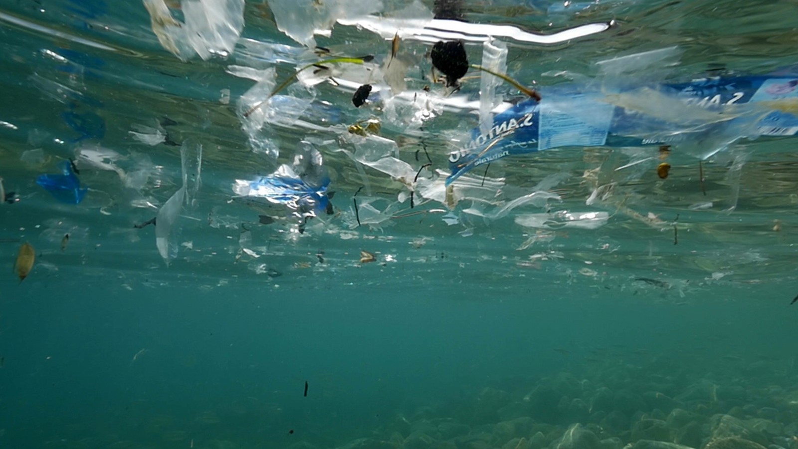 Océans, le mystère plastique de Vincent Perazio