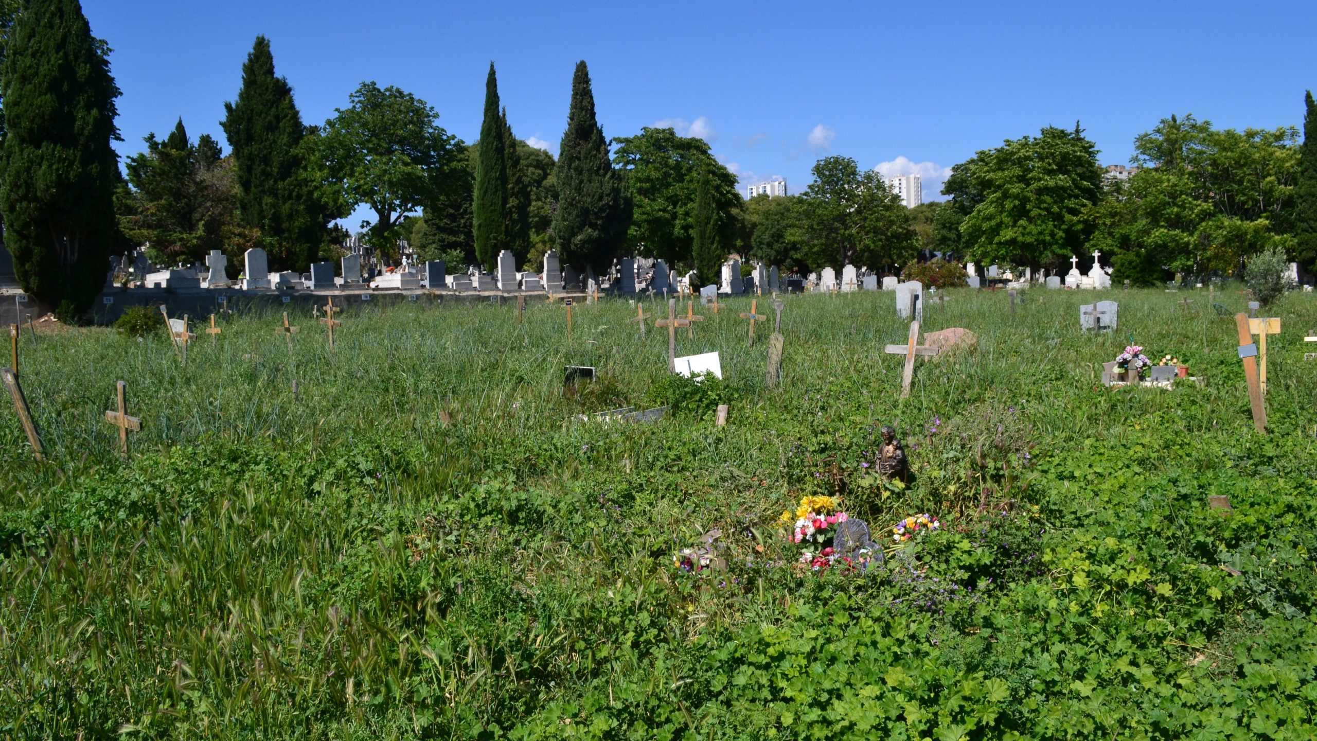 Les terres communes du cimetière Saint-Pierre le 22 mai 2024. (Photo : PID)