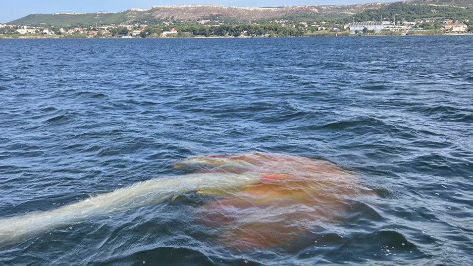 Le monstre du loch Berre. (Photo : Yohanne Lamoulère)