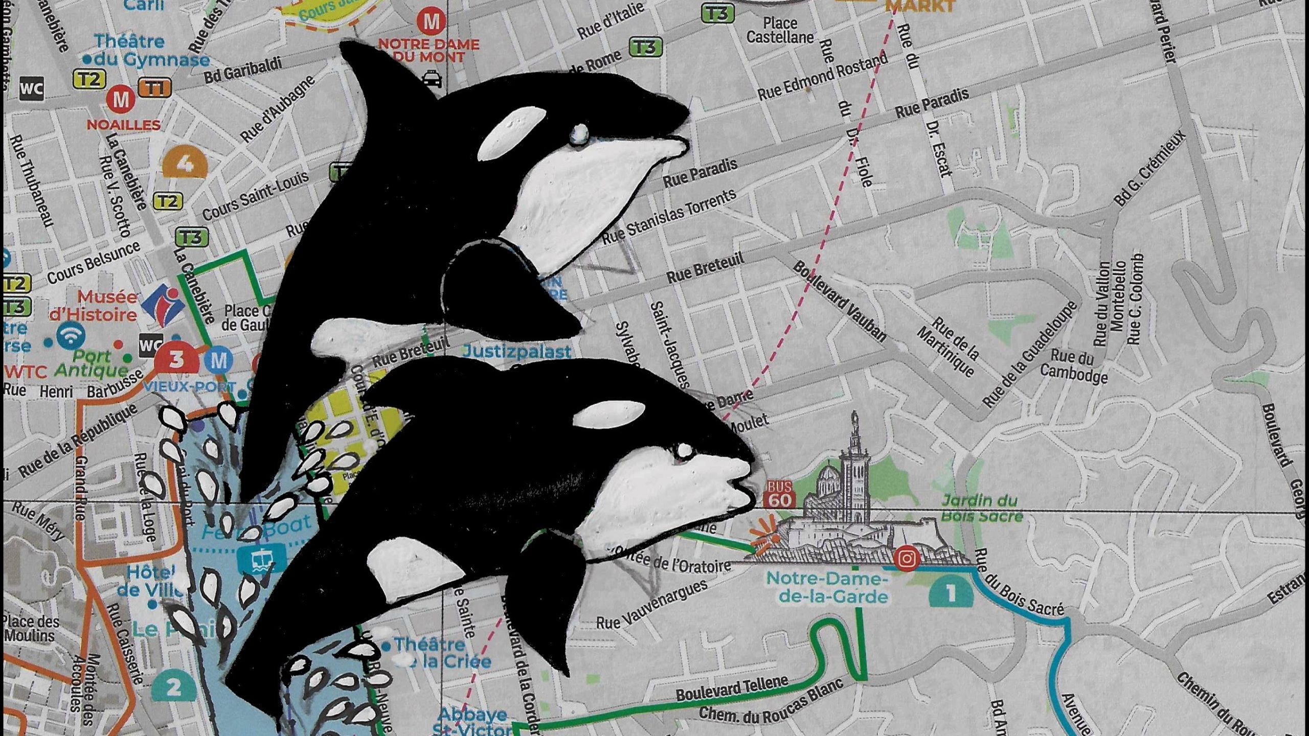 Dessin : Michea Jacobi.