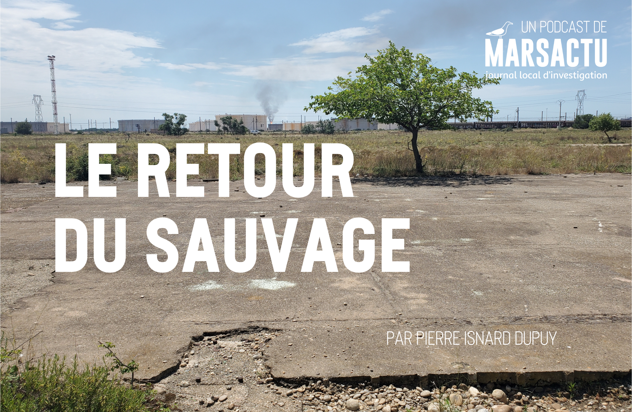 [Le retour du sauvage] Sous le béton, le sol vivant de la Crau