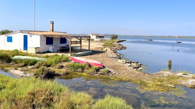 Port-Saint-Louis-du-Rhône, les cabanons qui bordent la route de la plage Napoléon. (Photo : C.By.)