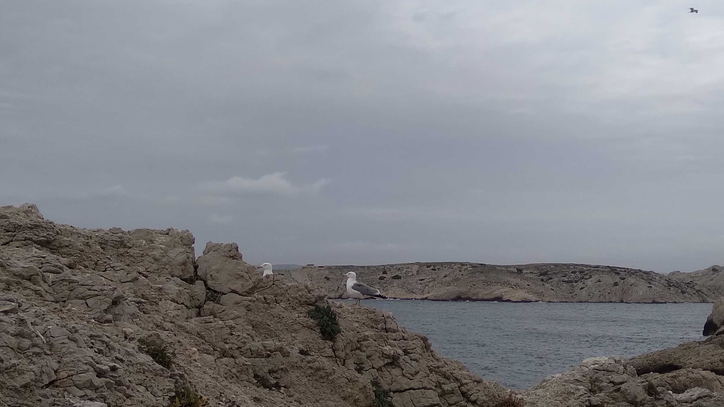 Photo : Benoît Gilles