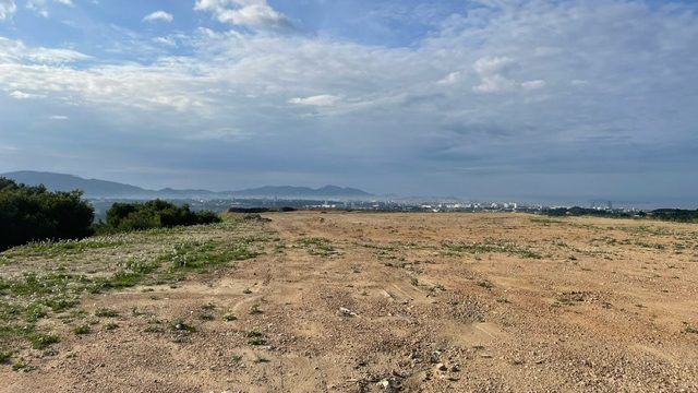 Au sommet de la décharge de Palama, la revégétalisation n