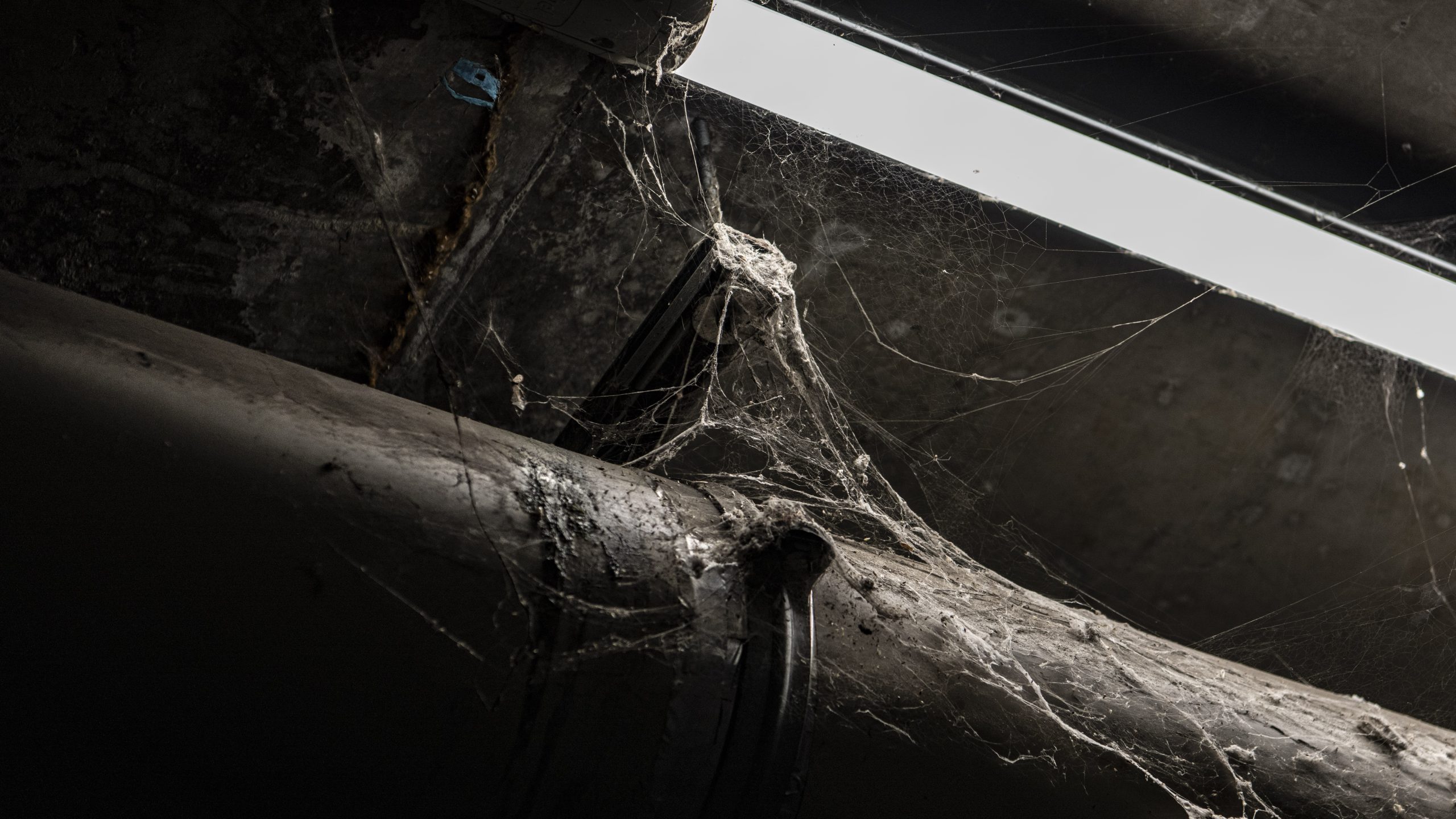 Photo : Guillaume Origoni / Agence Hans Lucas