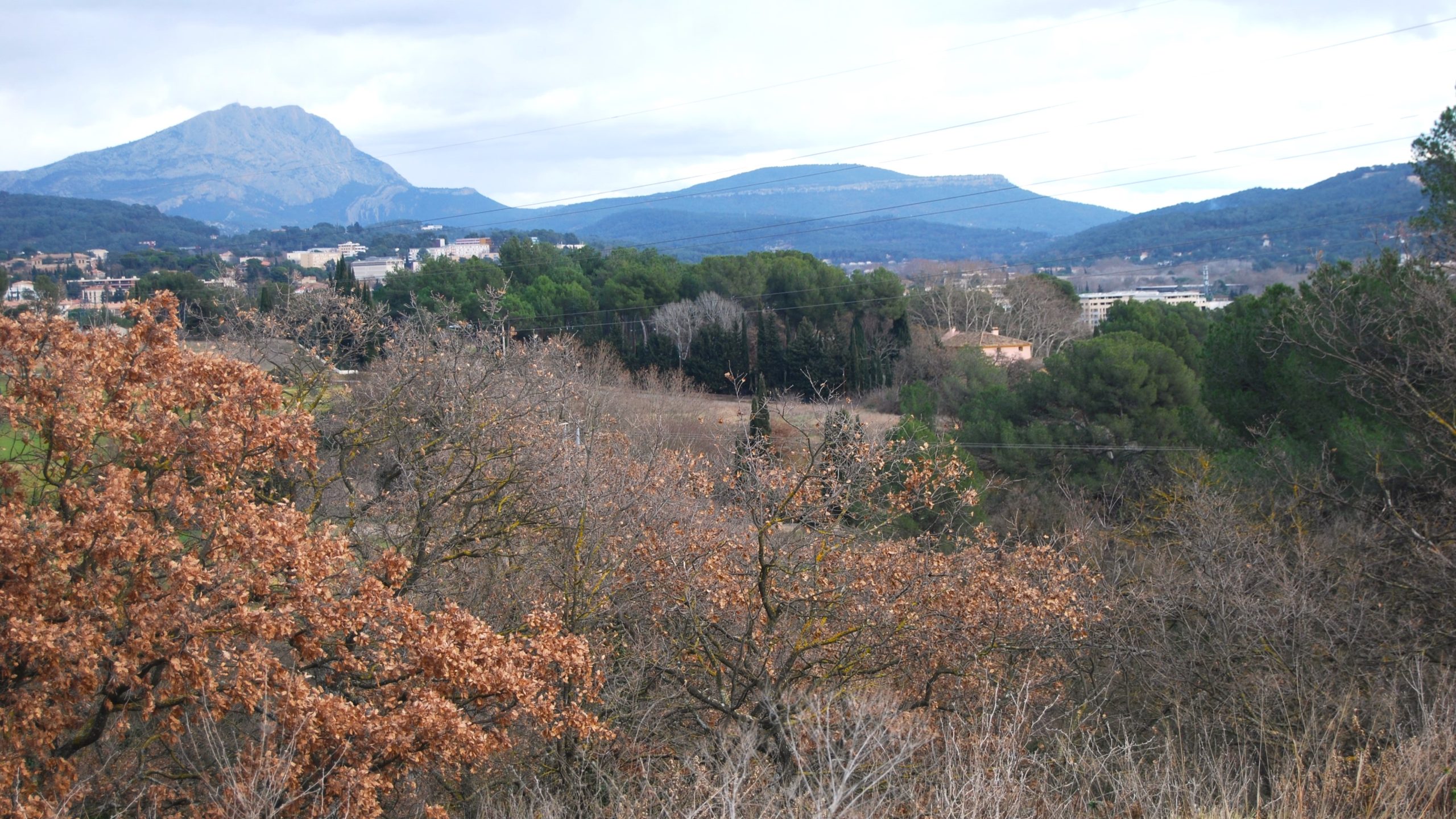 La fameuse vue de Cézanne sur la Sainte-Victoire depuis la Constance que defendent les détracteurs du projet. (Photo : Julie Chaudier)
