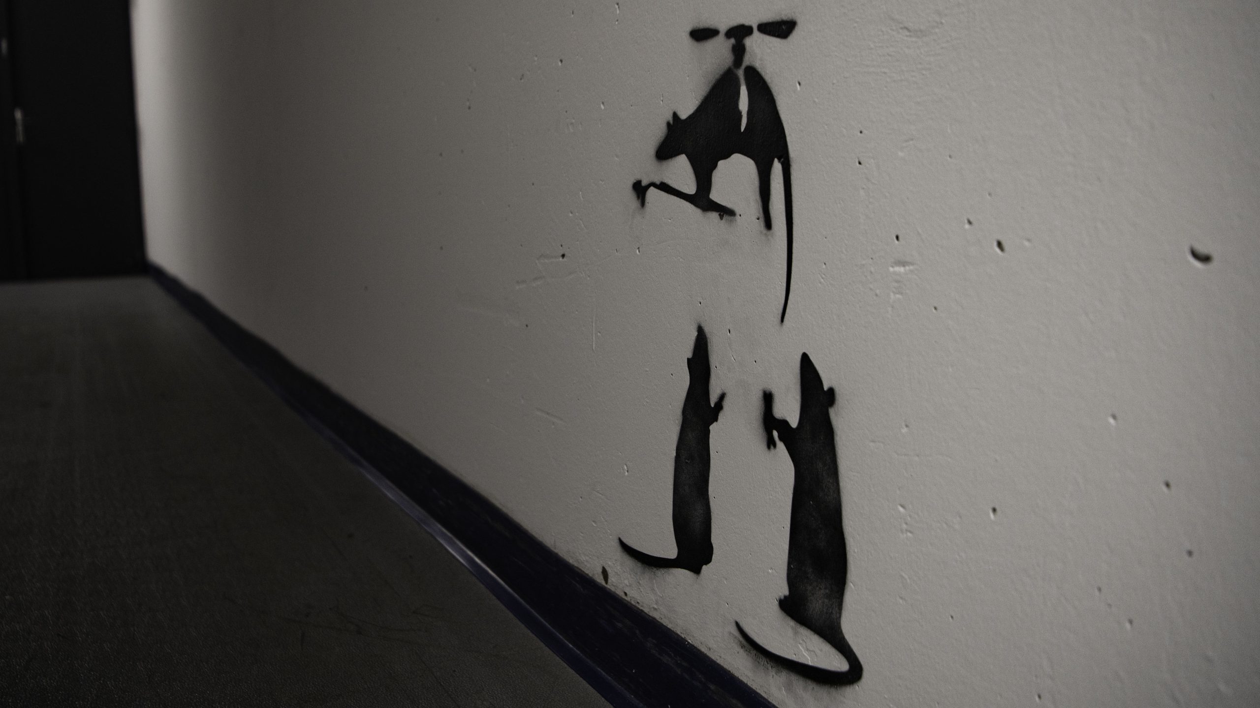 chronique la petite fille de saint Jo