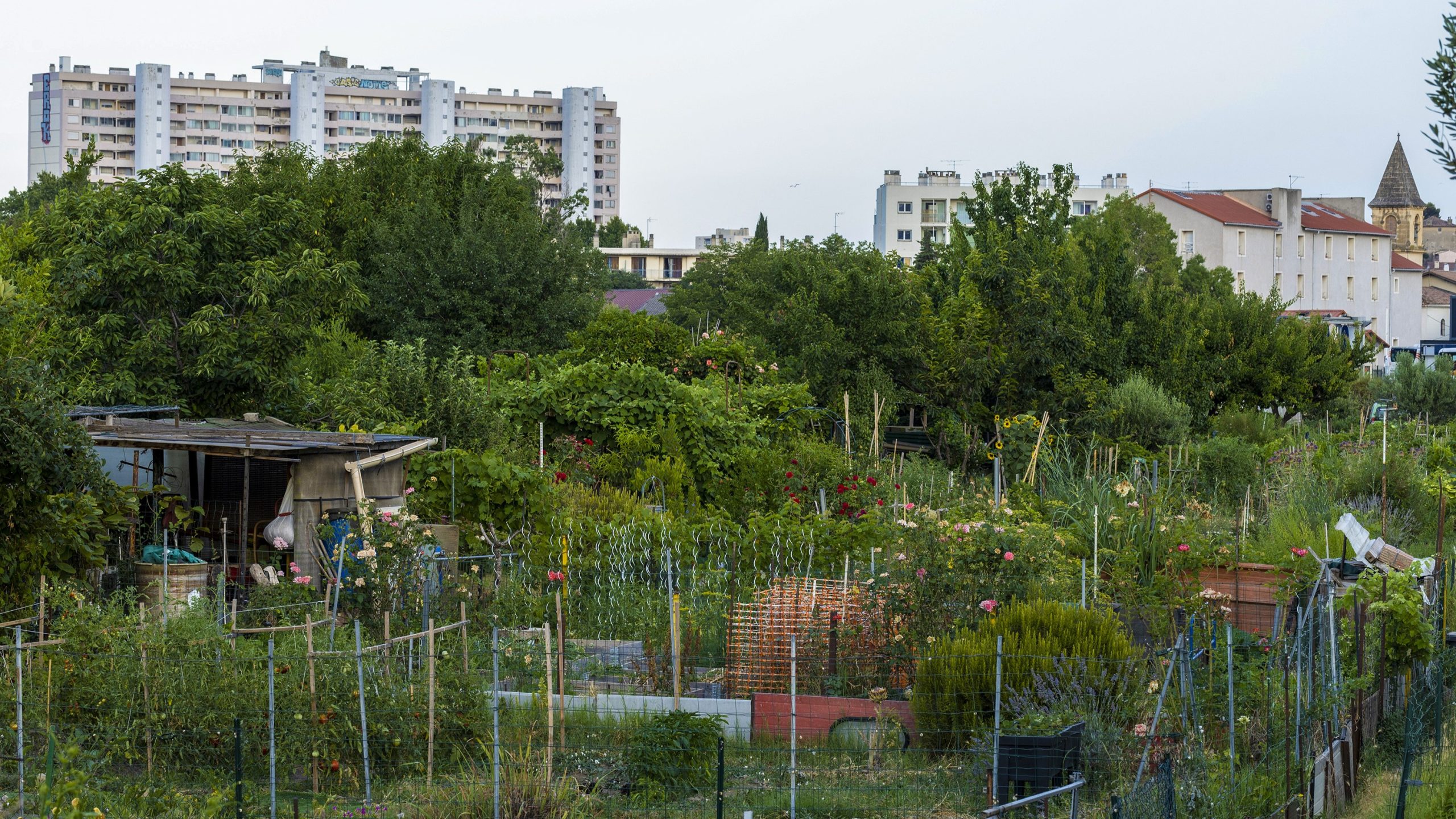Les jardins ouvriers de l