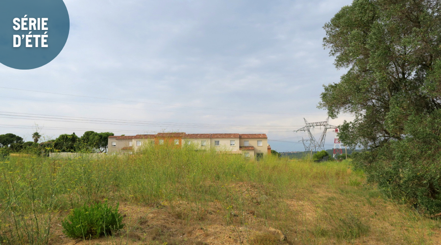 Les maisons neuves, collées les unes aux autres, du lotissement Eloquentia. (Photo : B.G.)