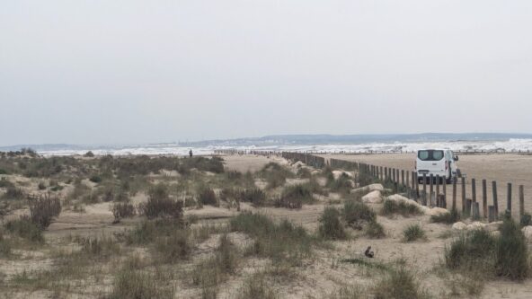 Sur la dune de la Gracieuse, en Camargue, les prémices d’une lutte contre les éléments