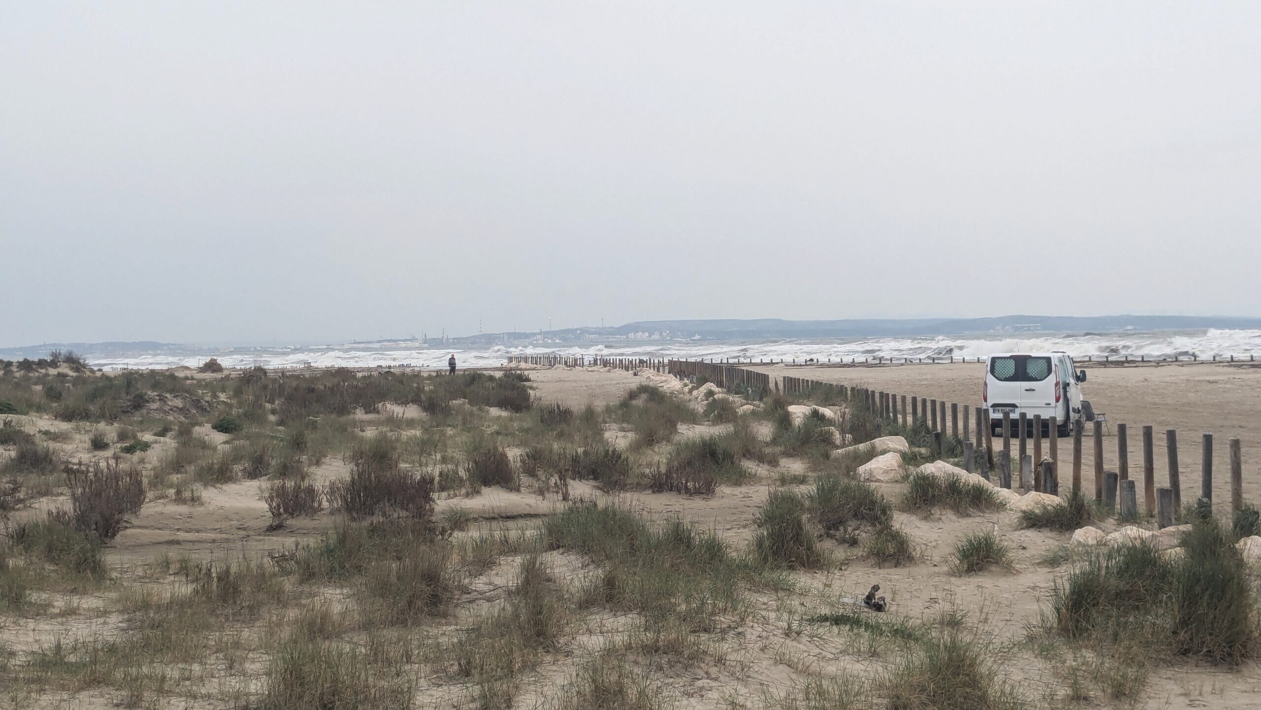 Sur la dune de la Gracieuse, en Camargue, les prémices d’une lutte contre les éléments