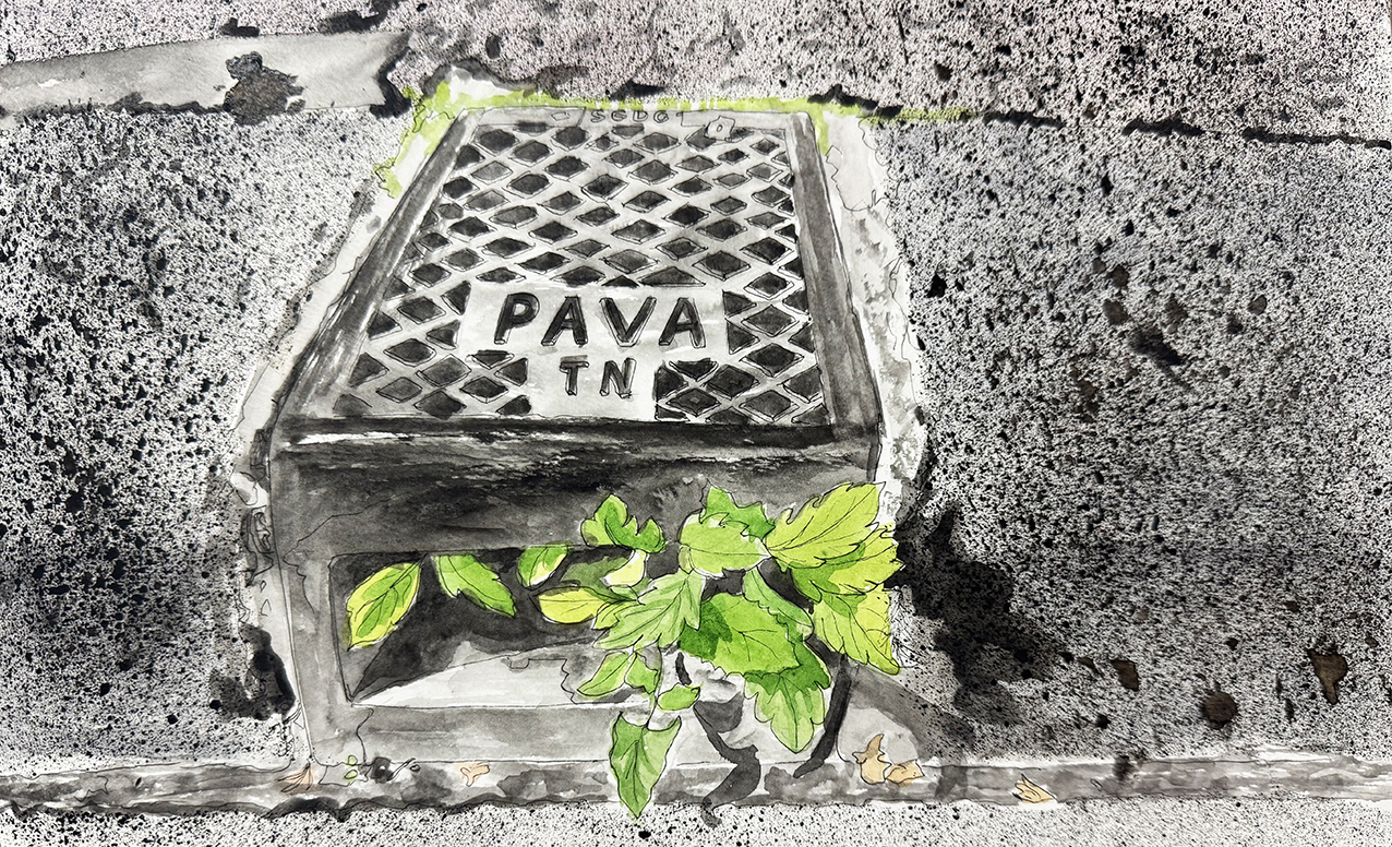 Dessin : Malika Moine