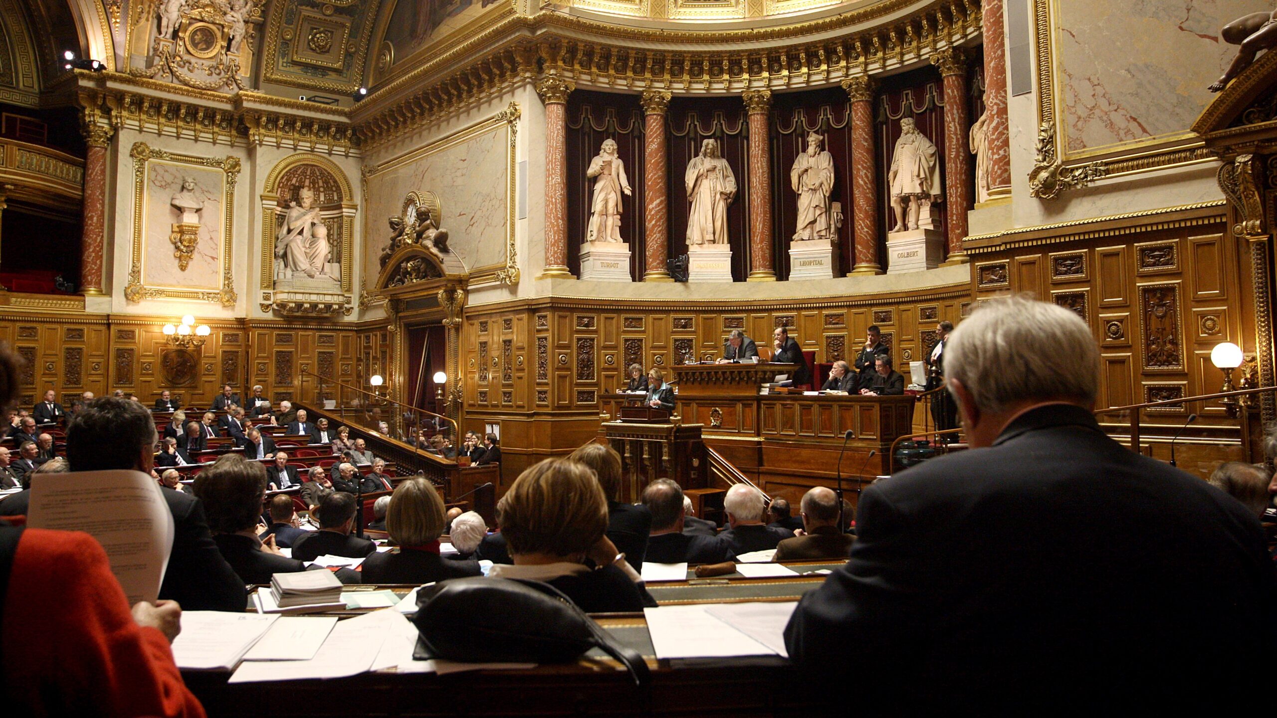 Hémicycle du Sénat. (Photo : Sénat/Flickr)