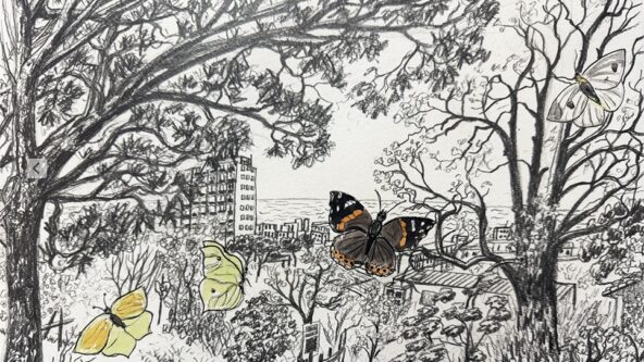 [En quête de sauvage] Les papillons de Marseille