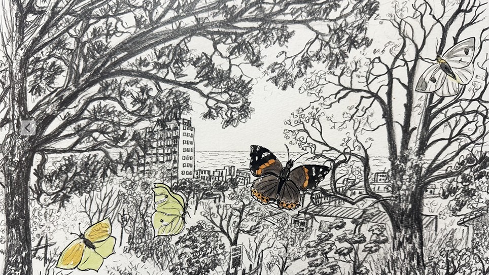 Le Parc urbain des papillons. (Illustration : Malika Moine)