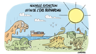Marsactu, journal indépendant sur Marseille et son territoire