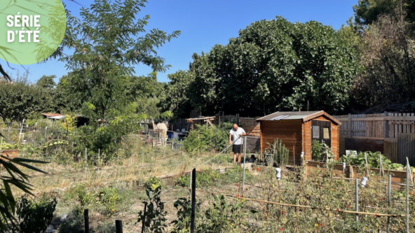 Au Jardinot des Aygalades, héritage ouvrier, terres industrielles et tomates mûres