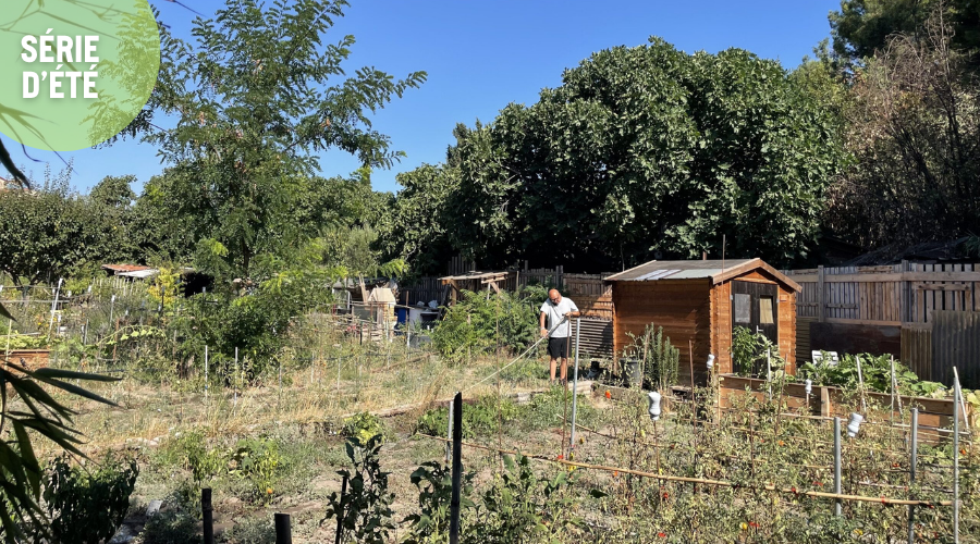Au Jardinot des Aygalades, héritage ouvrier, terres industrielles et tomates mûres