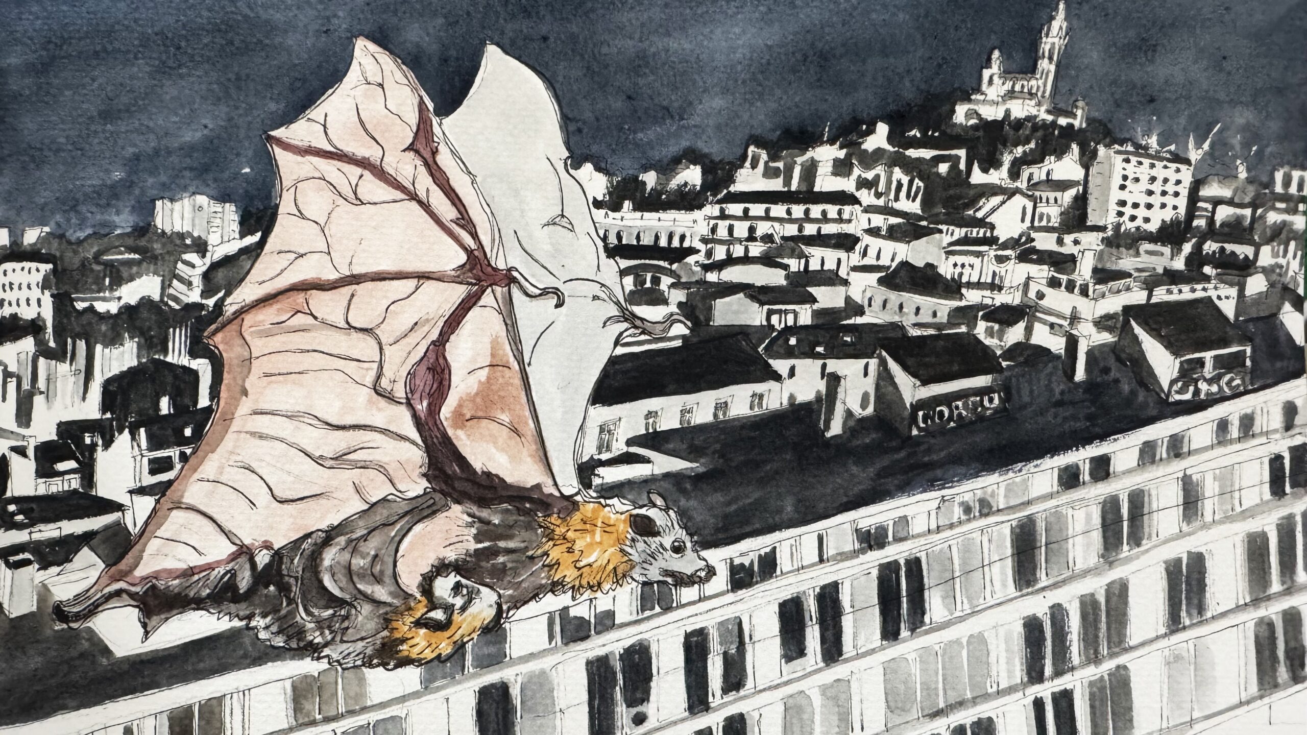 Le Molosse de Cestoni. (Illustration Malika Moine)