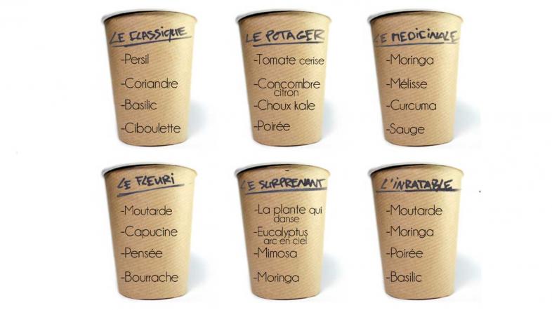 Aperçu des variétés CupPlante