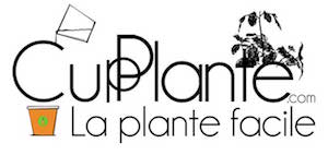 Logo CupPlante